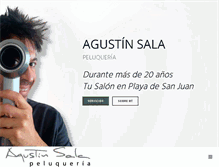 Tablet Screenshot of agustinsala.com